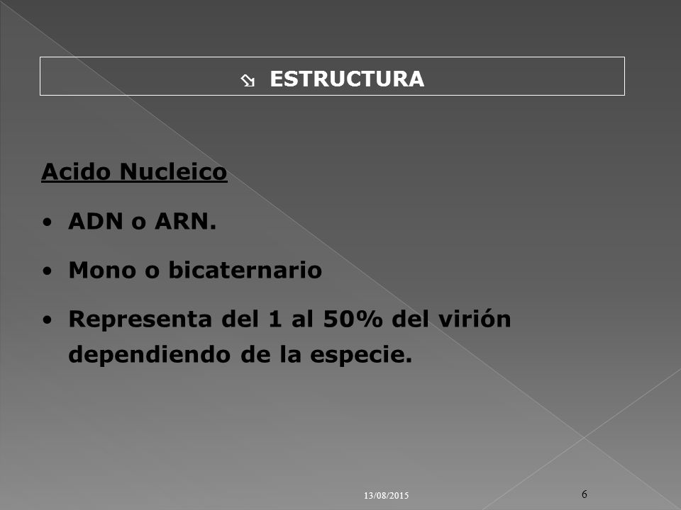 Representa del 1 al 50% del virión dependiendo de la especie.