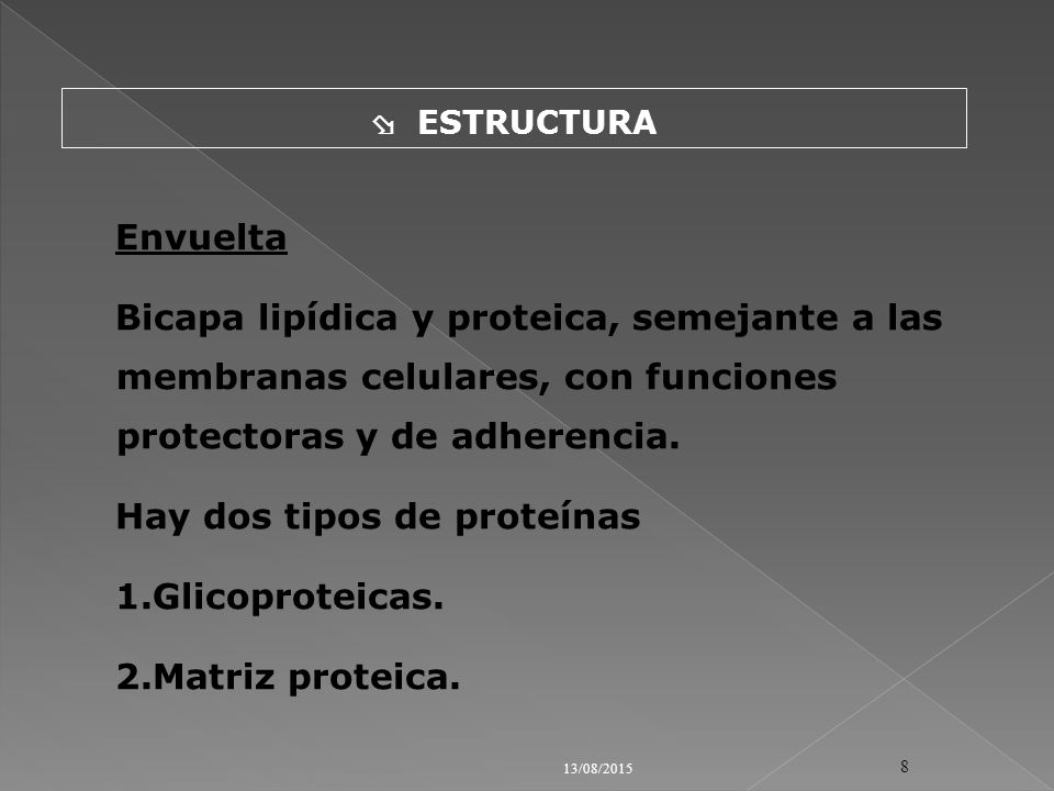 Hay dos tipos de proteínas Glicoproteicas. Matriz proteica.