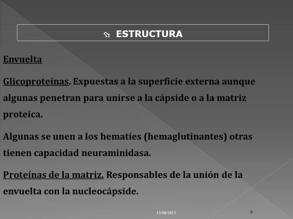  ESTRUCTURA Envuelta. Glicoproteínas. Expuestas a la superficie externa aunque algunas penetran para unirse a la cápside o a la matriz proteica.