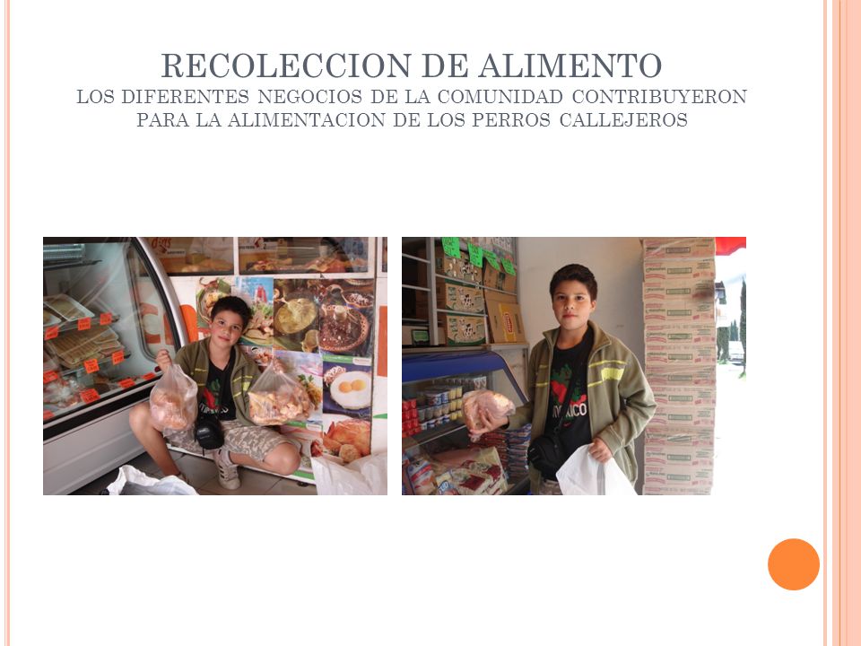 RECOLECCION DE ALIMENTO LOS DIFERENTES NEGOCIOS DE LA COMUNIDAD CONTRIBUYERON PARA LA ALIMENTACION DE LOS PERROS CALLEJEROS