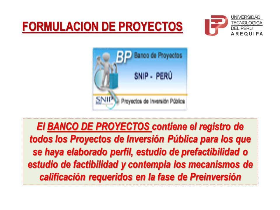 FORMULACION DE PROYECTOS