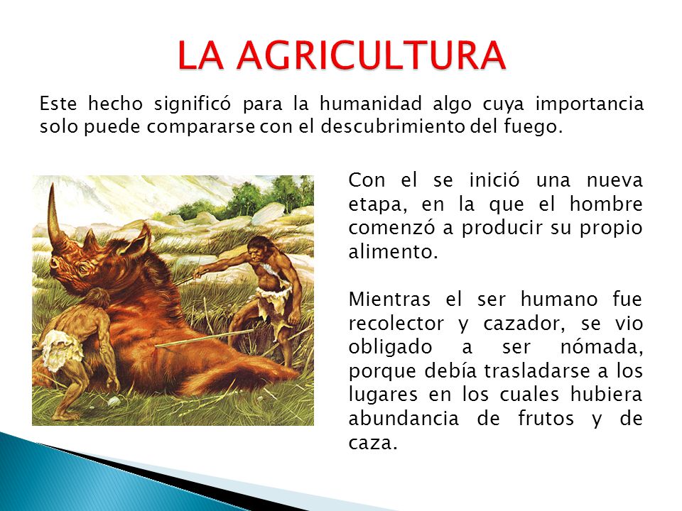 LA AGRICULTURA Este hecho significó para la humanidad algo cuya importancia solo puede compararse con el descubrimiento del fuego.