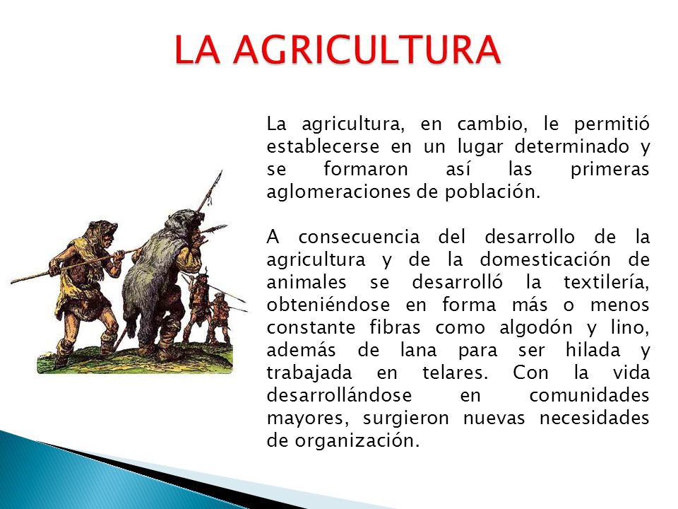 LA AGRICULTURA