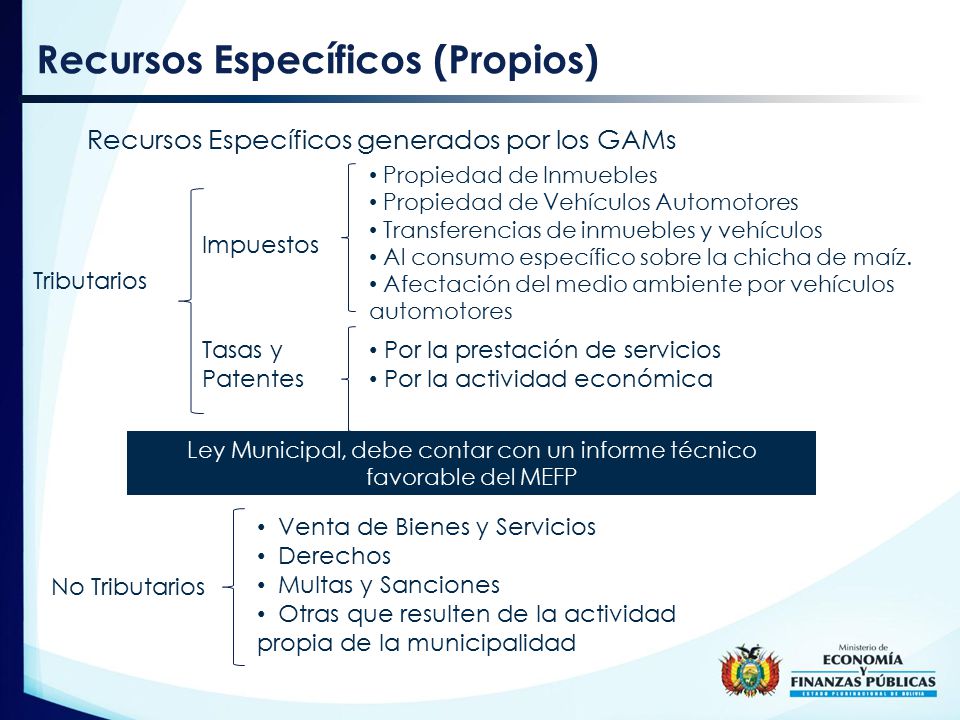 Ley Municipal, debe contar con un informe técnico favorable del MEFP