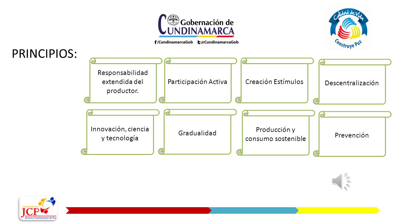 PRINCIPIOS: Responsabilidad extendida del productor.