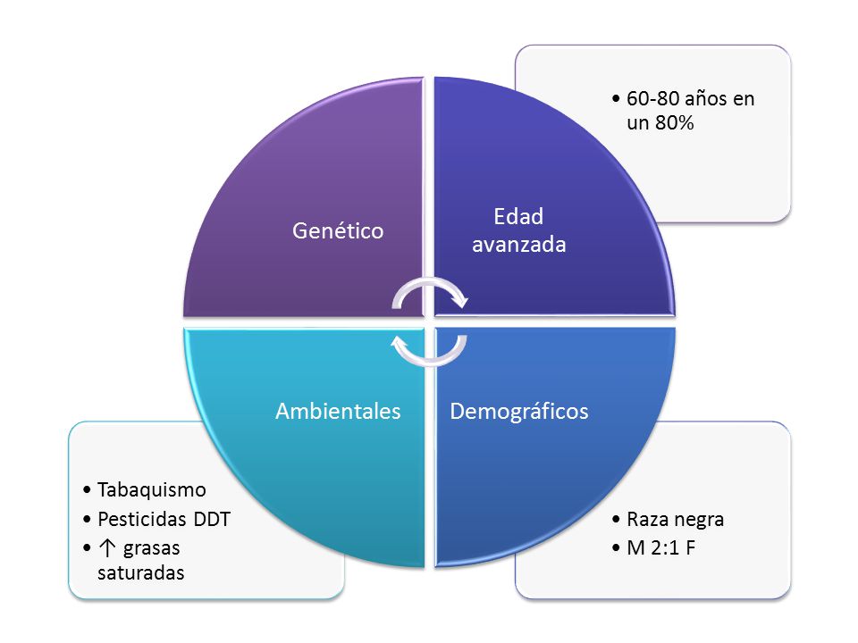 Genético Edad avanzada años en un 80% Demográficos. Raza negra. M 2:1 F. Ambientales. Tabaquismo.