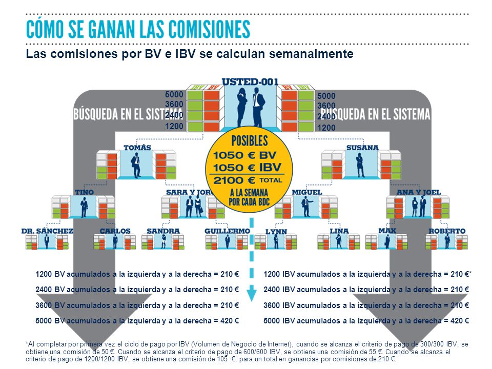 Las comisiones por BV e IBV se calculan semanalmente