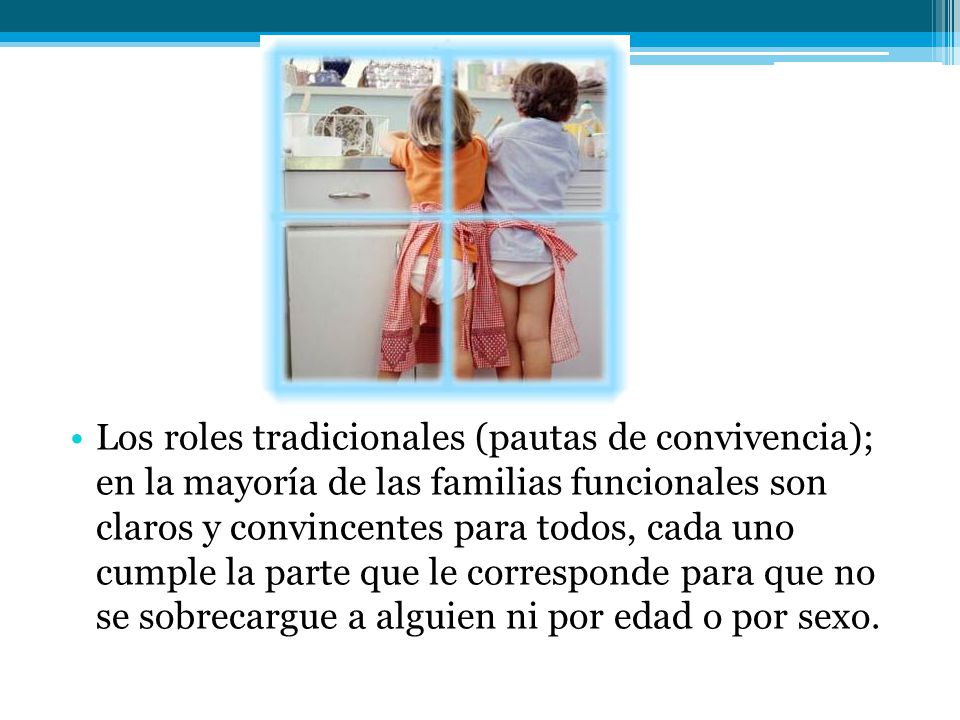 Los roles tradicionales (pautas de convivencia); en la mayoría de las familias funcionales son claros y convincentes para todos, cada uno cumple la parte que le corresponde para que no se sobrecargue a alguien ni por edad o por sexo.