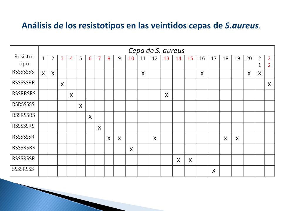 Análisis de los resistotipos en las veintidos cepas de S.aureus.