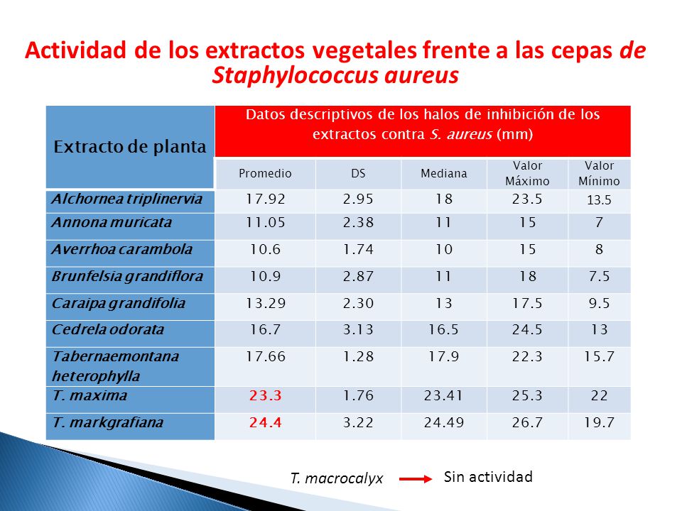 Actividad de los extractos vegetales frente a las cepas de Staphylococcus aureus
