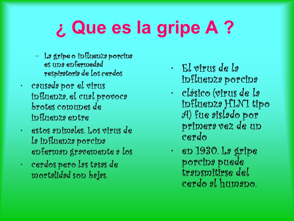 ¿ Que es la gripe A El virus de la influenza porcina