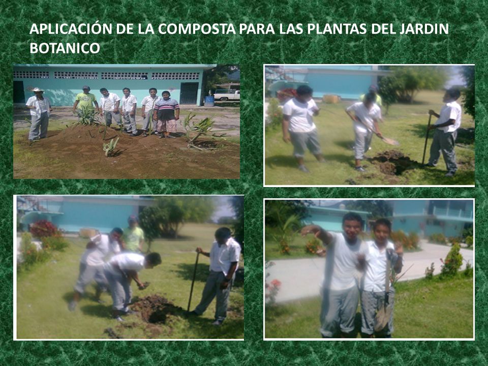 APLICACIÓN DE LA COMPOSTA PARA LAS PLANTAS DEL JARDIN BOTANICO