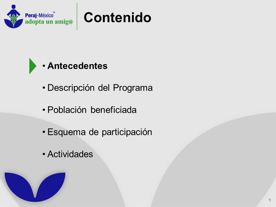 ¿Qué es Peraj Peraj es un Programa de tutorías personalizadas con presencia internacional.