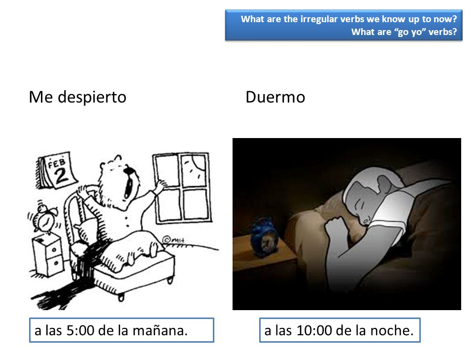 Me despierto Duermo a las 5:00 de la mañana. a las 10:00 de la noche.