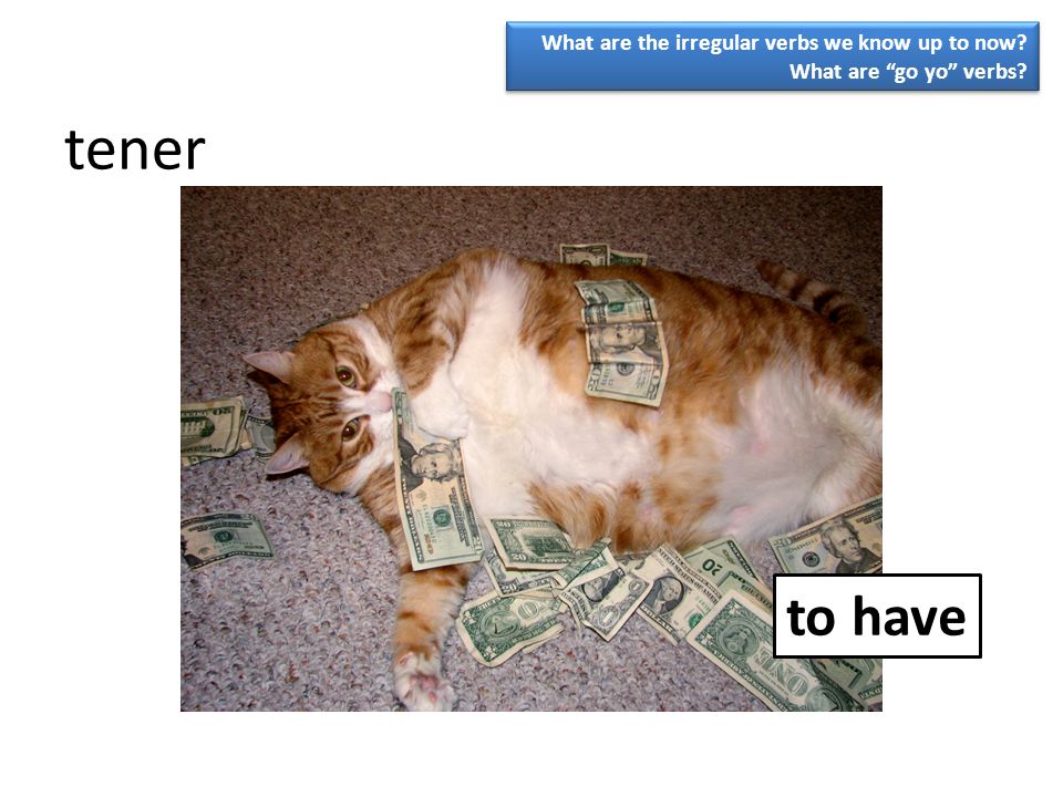 tener to have What are the irregular verbs we know up to now