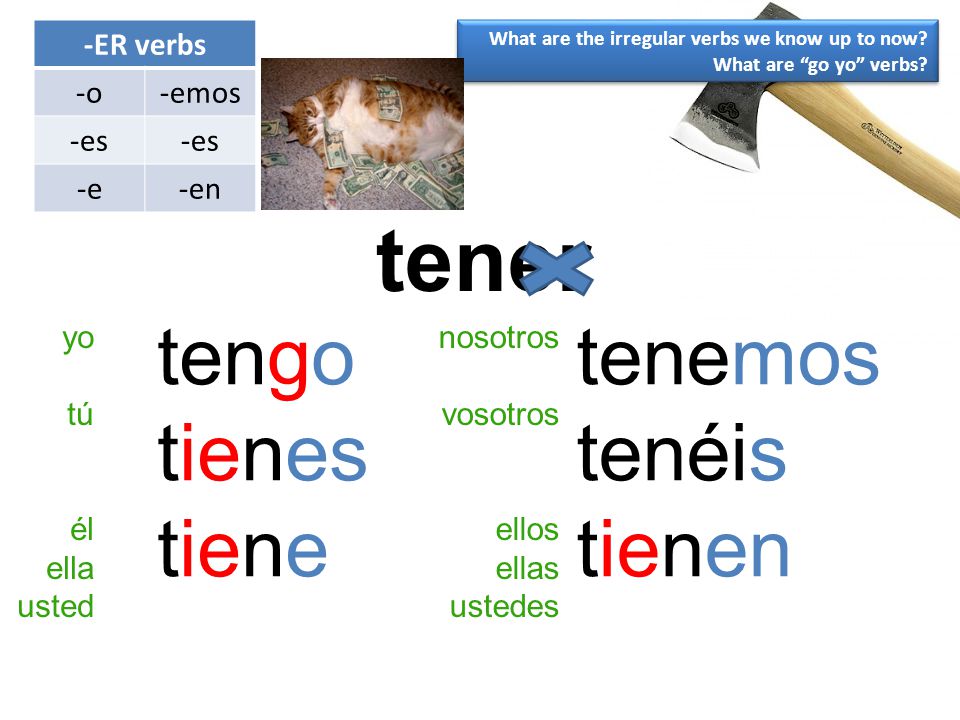 tener tengo tienes tiene tenemos tenéis tienen -ER verbs -o -emos -es