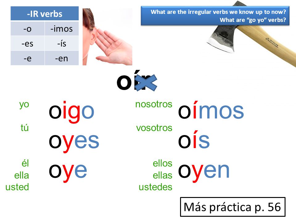 oír oigo oyes oye oímos oís oyen Más práctica p. 56 -IR verbs -o -imos