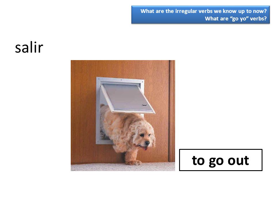 salir to go out What are the irregular verbs we know up to now