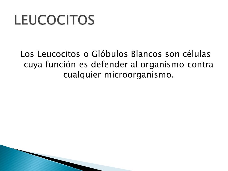 LEUCOCITOS Los Leucocitos o Glóbulos Blancos son células cuya función es defender al organismo contra cualquier microorganismo.
