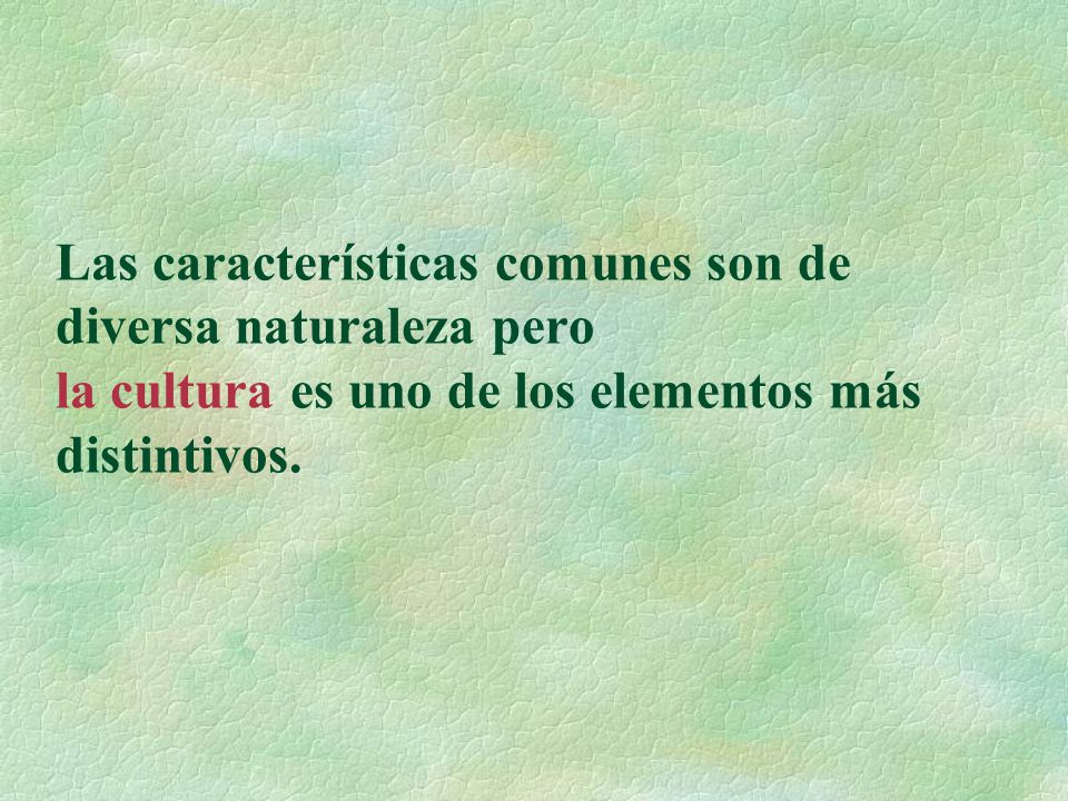 Las características comunes son de diversa naturaleza pero la cultura es uno de los elementos más distintivos.