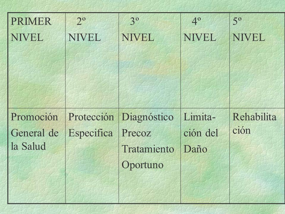 PRIMER NIVEL. 2º. 3º. 4º. 5º. Promoción. General de la Salud. Protección. Especifica. Diagnóstico.