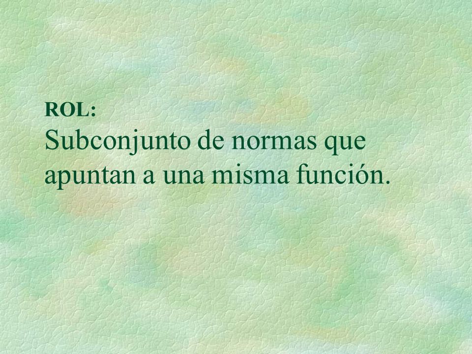 ROL: Subconjunto de normas que apuntan a una misma función.