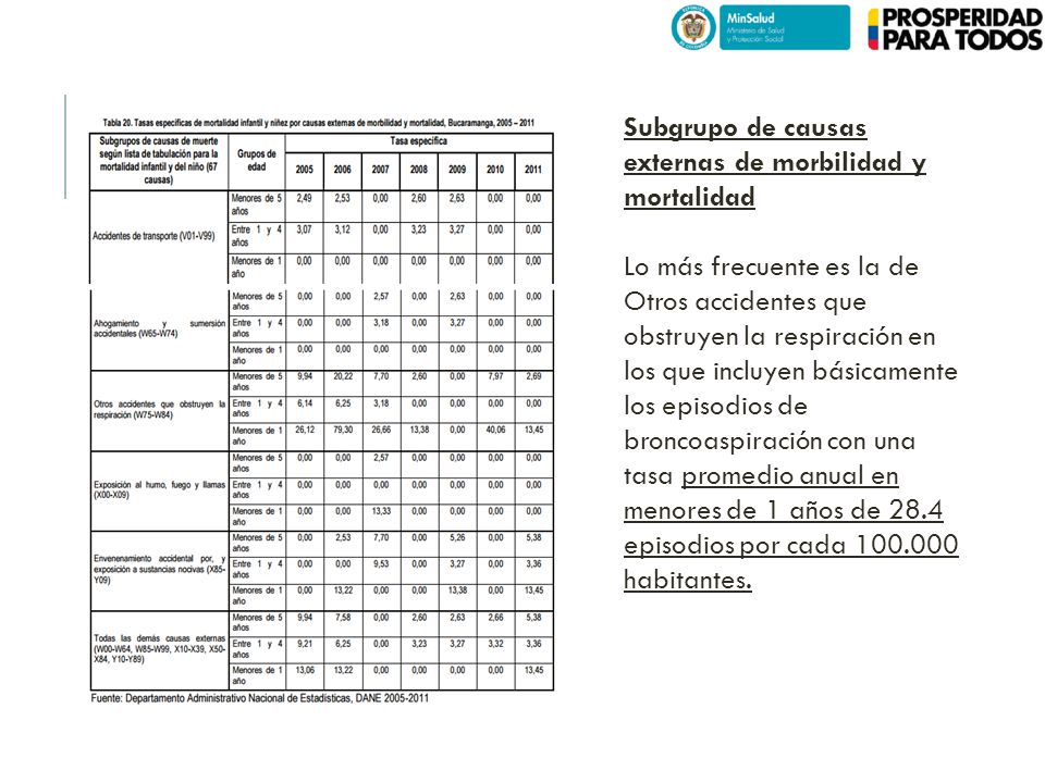 Subgrupo de causas externas de morbilidad y mortalidad