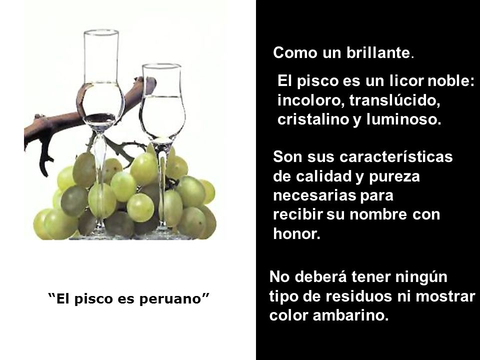 El pisco es un licor noble: incoloro, translúcido,