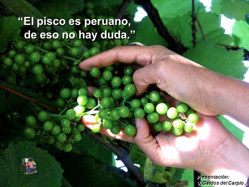 El pisco es peruano, de eso no hay duda. Presentación: