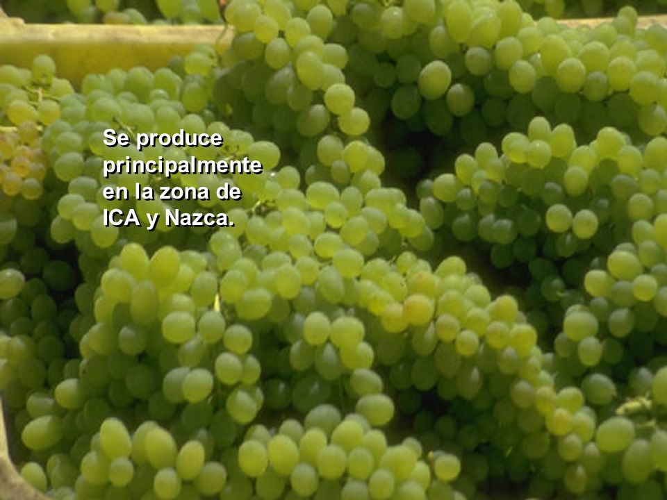 Se produce principalmente en la zona de ICA y Nazca.