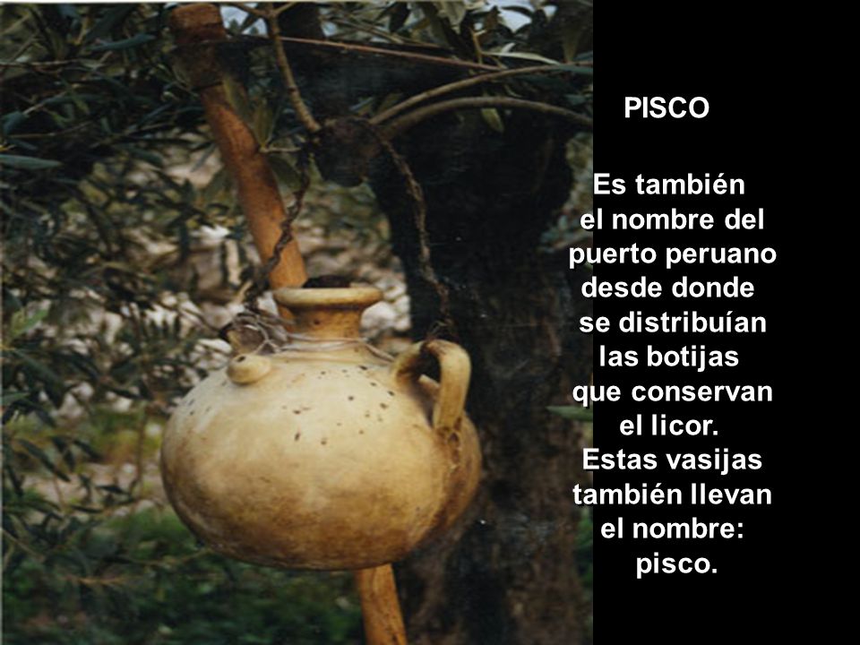 PISCO Es también. el nombre del. puerto peruano. desde donde. se distribuían. las botijas. que conservan.