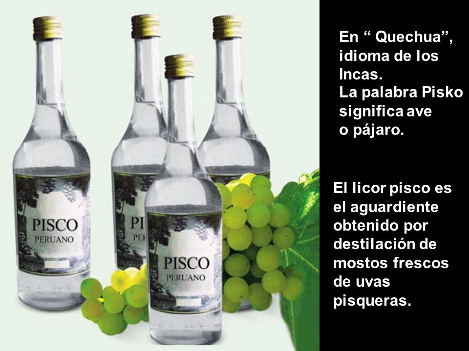 PISCO En Quechua , idioma de los Incas. La palabra Pisko