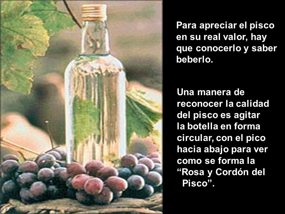 Para apreciar el pisco en su real valor, hay. que conocerlo y saber. beberlo. Una manera de. reconocer la calidad.