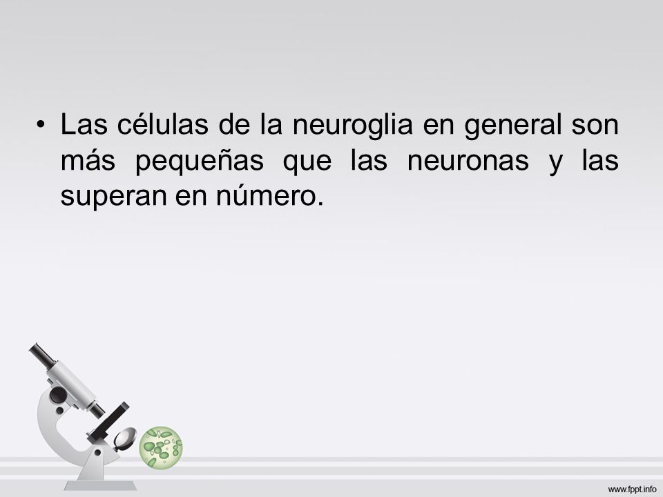 Las células de la neuroglia en general son más pequeñas que las neuronas y las superan en número.