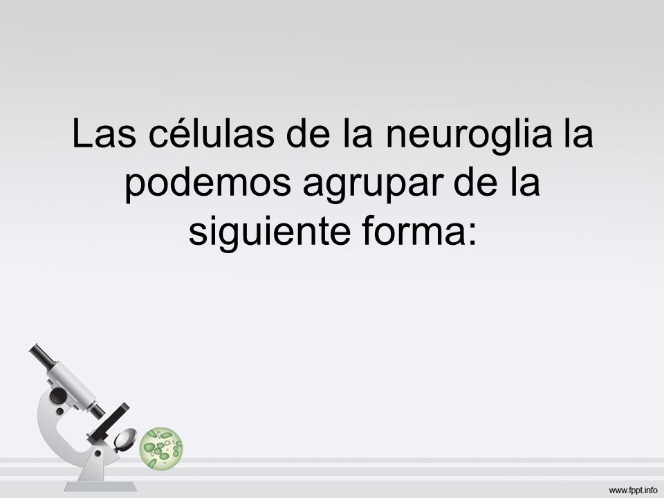 Las células de la neuroglia la podemos agrupar de la siguiente forma: