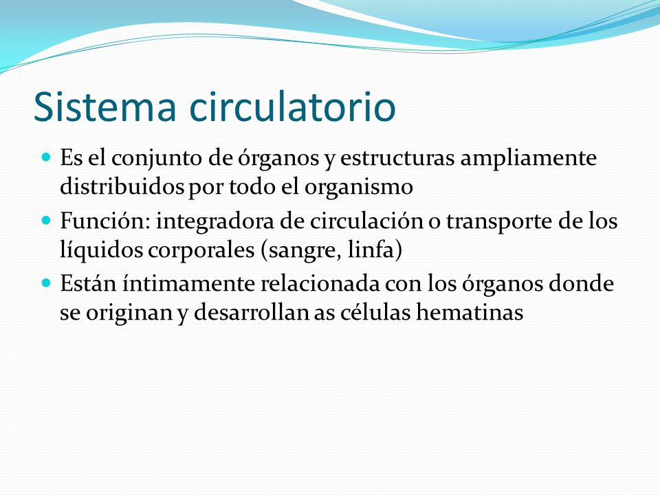 Sistema circulatorio Es el conjunto de órganos y estructuras ampliamente distribuidos por todo el organismo.