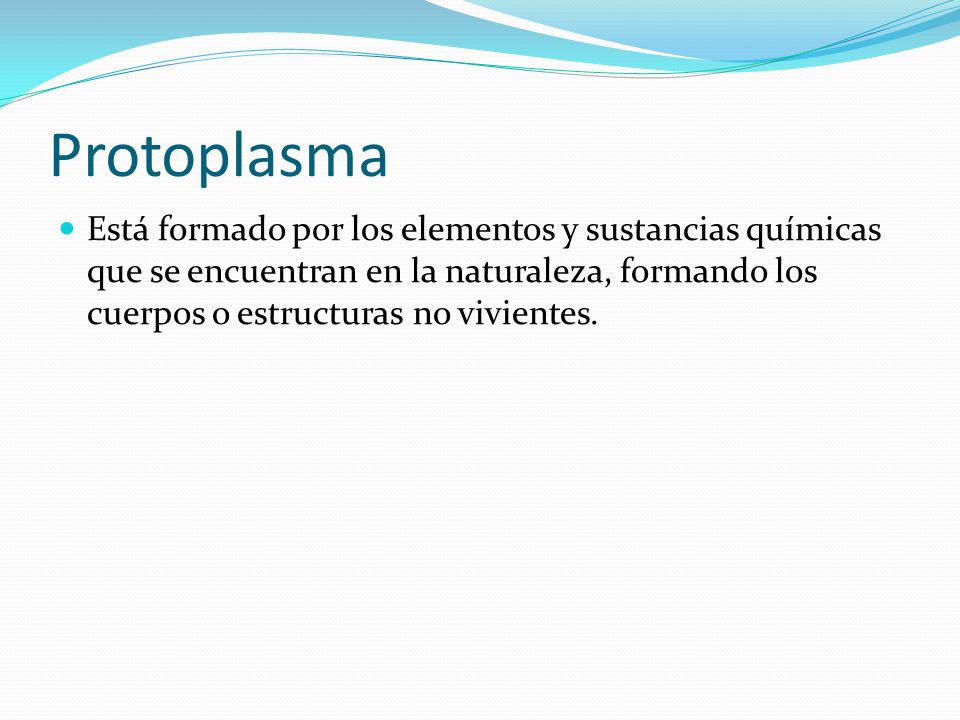 Protoplasma
