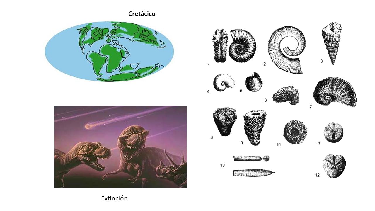 Cretácico Extinción