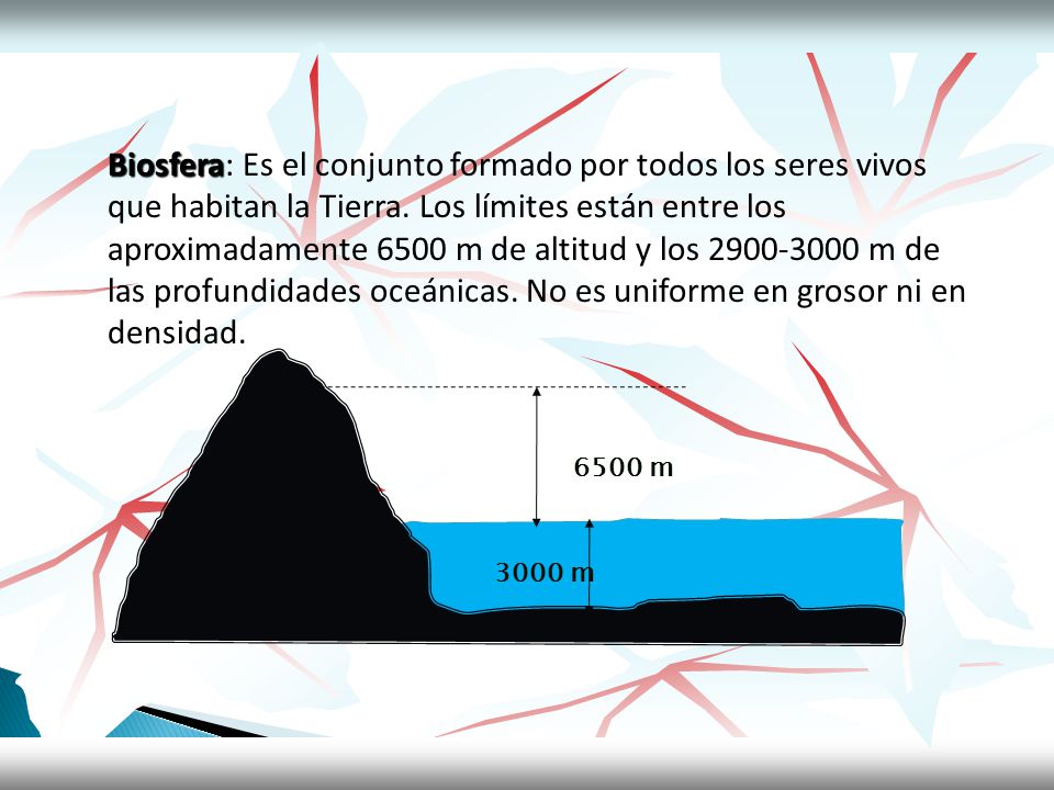 Biosfera: Es el conjunto formado por todos los seres vivos que habitan la Tierra. Los límites están entre los aproximadamente 6500 m de altitud y los m de las profundidades oceánicas. No es uniforme en grosor ni en densidad.