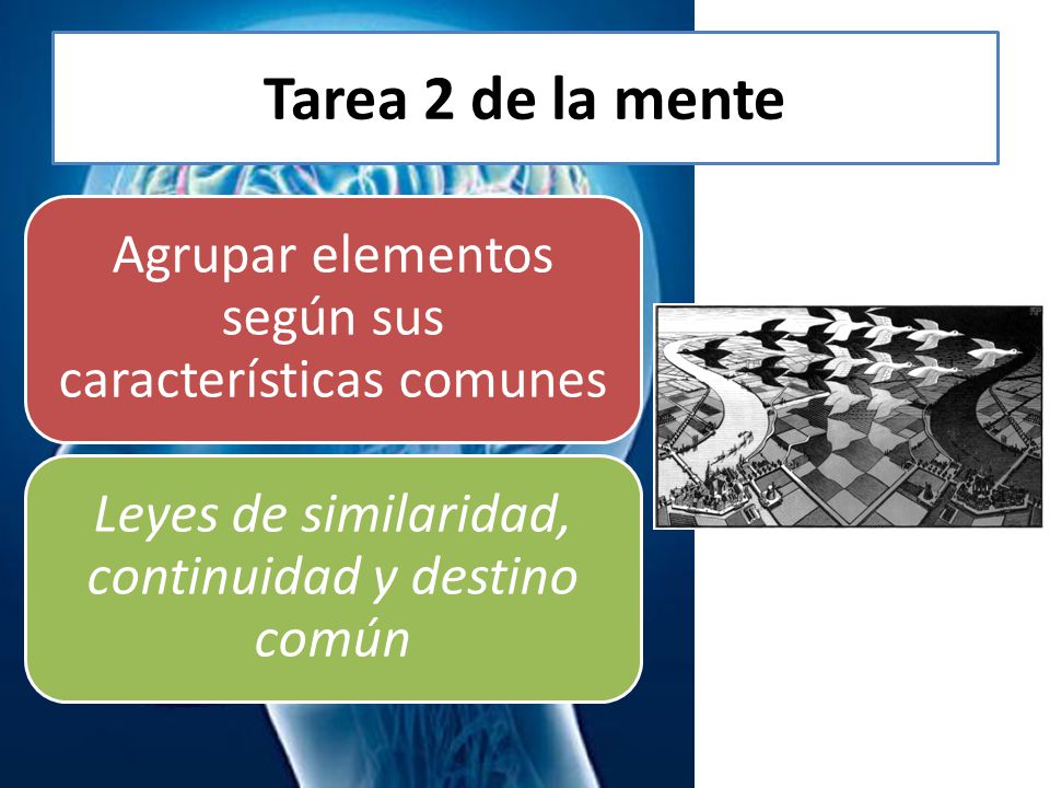 Tarea 2 de la mente Agrupar elementos según sus características comunes.