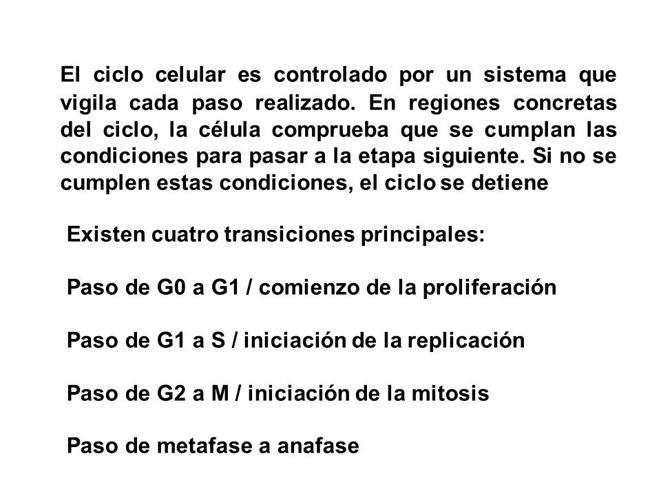 El ciclo celular es controlado por un sistema que vigila cada paso realizado. En regiones concretas del ciclo, la célula comprueba que se cumplan las condiciones para pasar a la etapa siguiente. Si no se cumplen estas condiciones, el ciclo se detiene