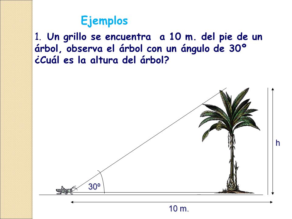 Ejemplos 1. Un grillo se encuentra a 10 m. del pie de un árbol, observa el árbol con un ángulo de 30º ¿Cuál es la altura del árbol