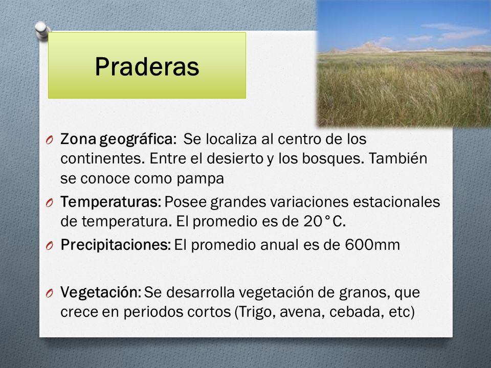 Praderas Zona geográfica: Se localiza al centro de los continentes. Entre el desierto y los bosques. También se conoce como pampa.