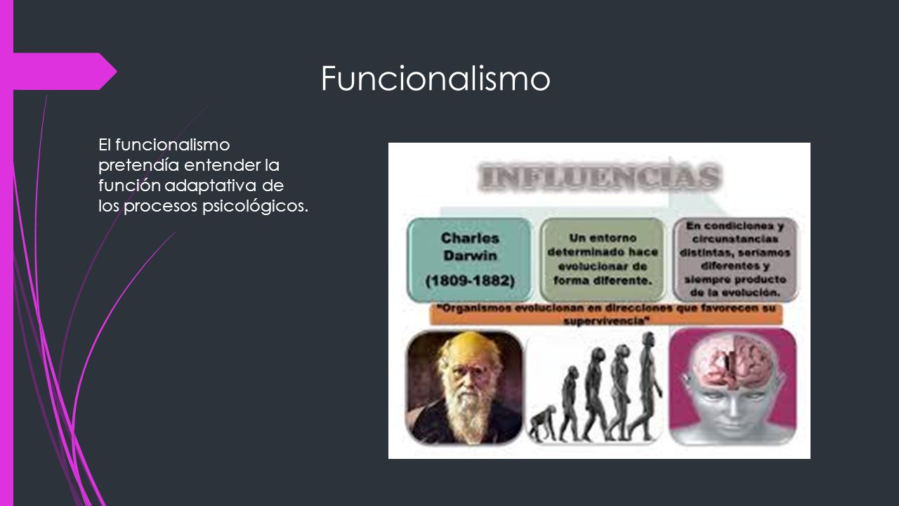 Funcionalismo El funcionalismo pretendía entender la función adaptativa de los procesos psicológicos.
