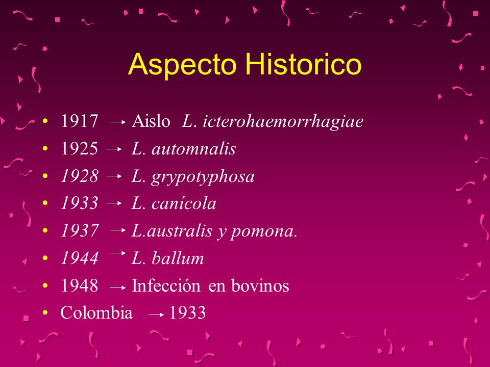 Aspecto Historico 1917 Aislo L. icterohaemorrhagiae 1925 L. automnalis