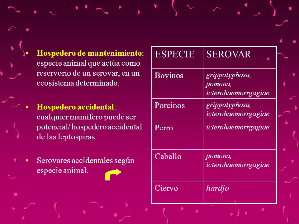 Hospedero de mantenimiento: especie animal que actúa como reservorio de un serovar, en un ecosistema determinado.