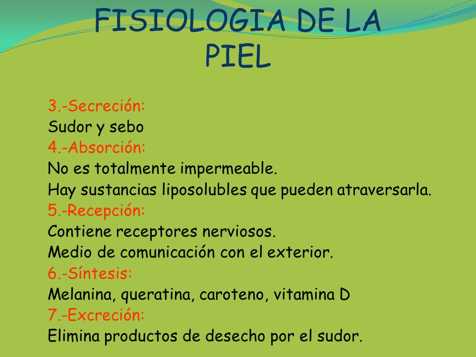 FISIOLOGIA DE LA PIEL 3.-Secreción: Sudor y sebo 4.-Absorción: