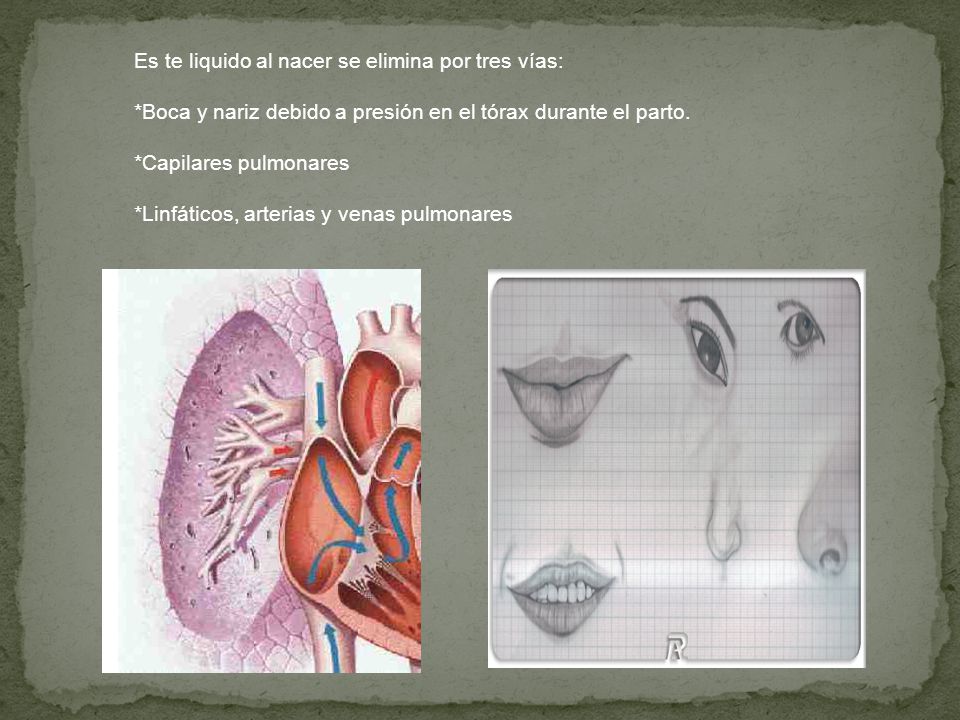 Es te liquido al nacer se elimina por tres vías: