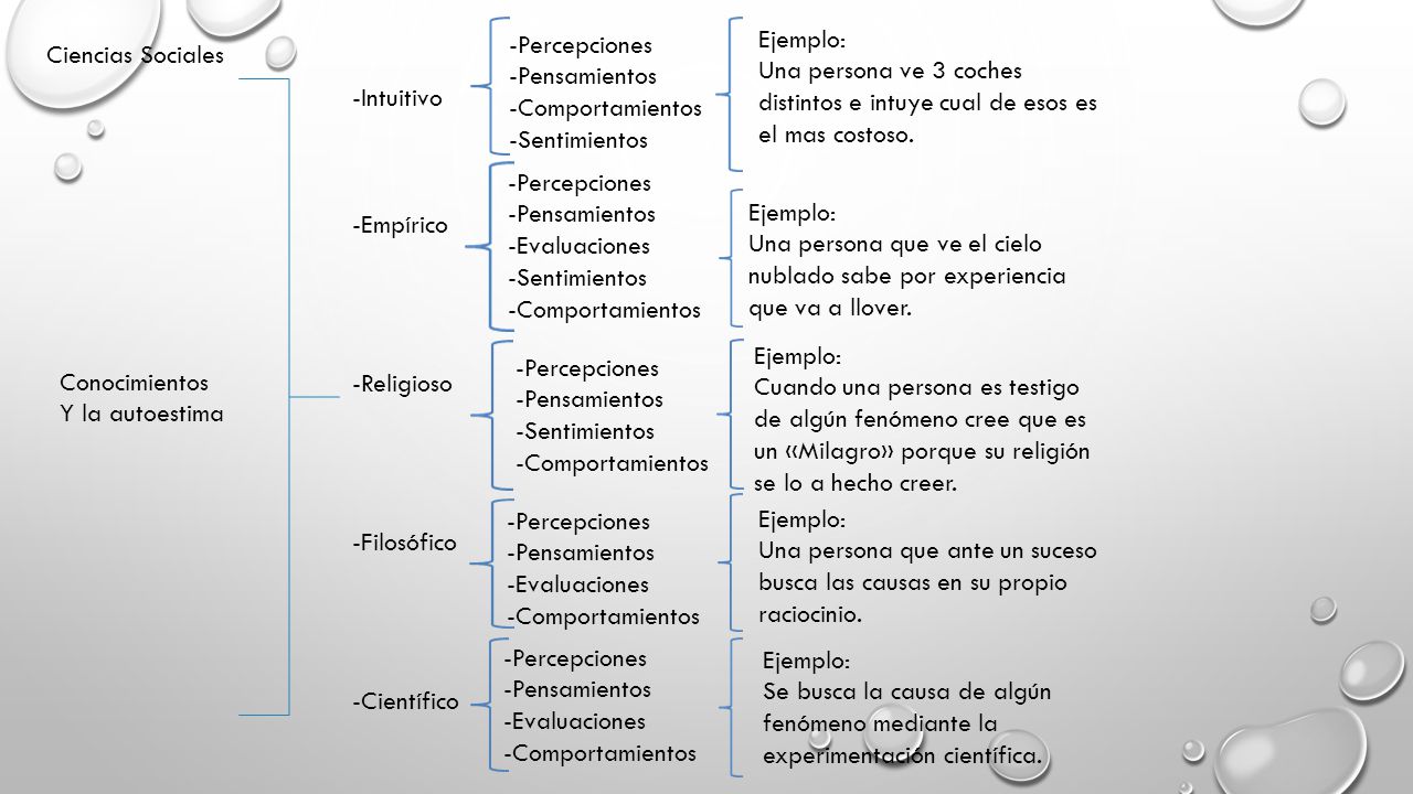 -Percepciones -Pensamientos. -Comportamientos. -Sentimientos. Ejemplo: Una persona ve 3 coches distintos e intuye cual de esos es el mas costoso.