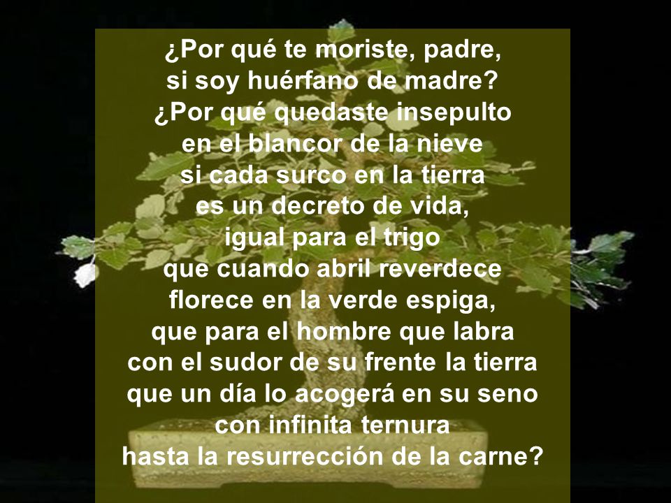 ¿Por qué te moriste, padre, si soy huérfano de madre